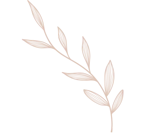 Illustration de feuille beige sur fond clair.
