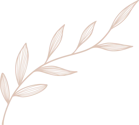 Illustration de feuille beige sur fond clair.